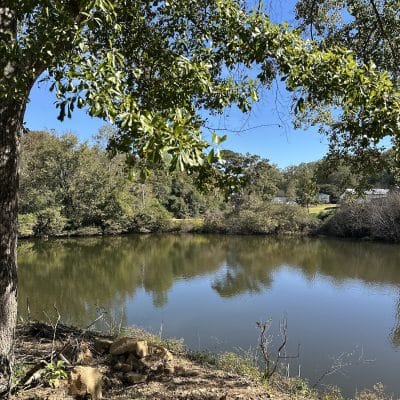 Peaceful pond views on the campus of Recover Now Central Alabama Sober Living.